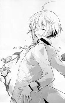 Laker, Aster