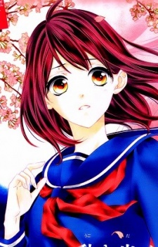 capa de mangá de Kawai, Sakura