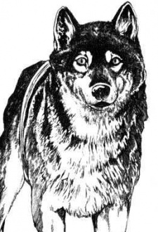 capa de mangá de 23
