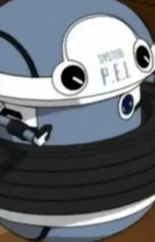 System P.E.L. Image