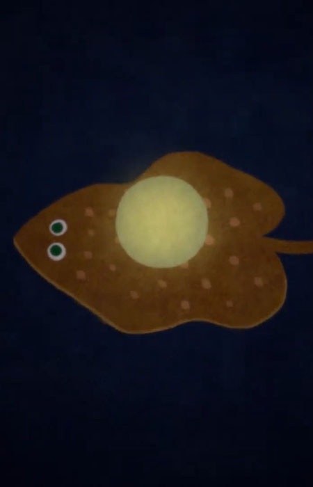 Imagem de Plaice
