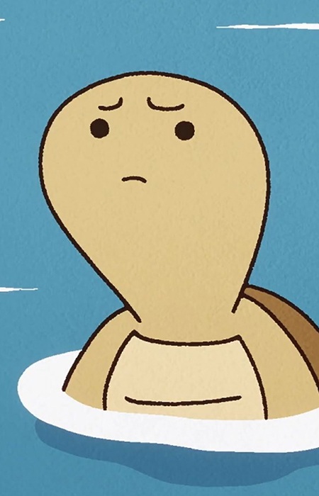Turtle