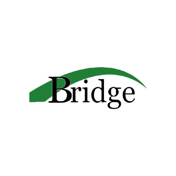 Bridge - Companies 