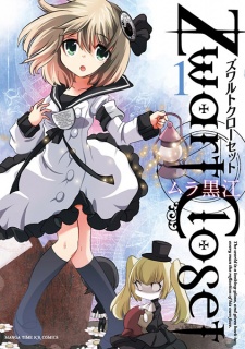 Imagen de Zwart Closet