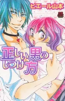 Cover of 正しい男のしつけ方