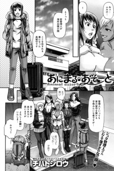 Imagen de Animal Assort