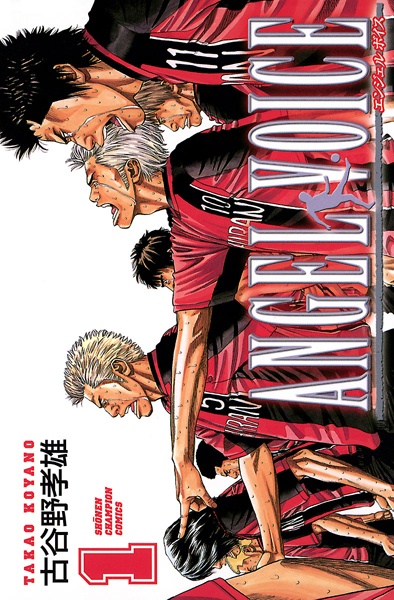 Cover for Angel Voice