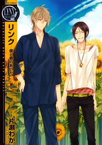 Link: Boku to Kimi no Aida cover