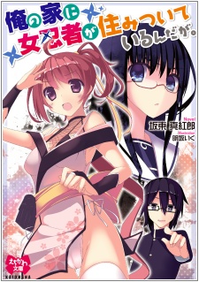 Imagen de Ore no Ie ni Onna Ninja ga Sumitsuite Iru n da ga.