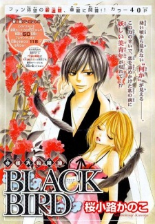 Imagen de Black Bird
