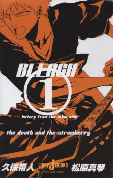 Capa de Bleach: Letters From the Other Side