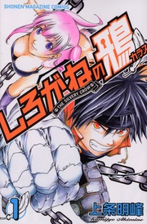 Cover for The Silvery Crow