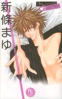 Cover of 新條まゆ The Best Selection