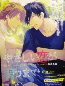 Imagen de Yasashii Koi ga Sodatsu made