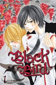 Black Bird