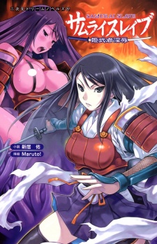 Imagen de Samurai Slave: Hime Musha Injoku