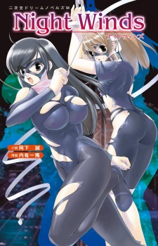 Imagen de Night Winds