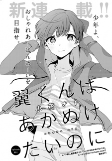 Imagen de Tsubasa-kun wa Akanuketai noni