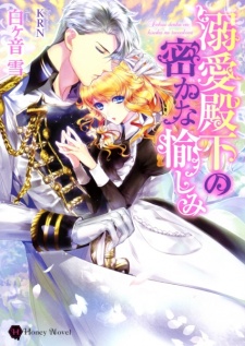 Imagen de Dekiai Denka no Hisoka na Tanoshimi