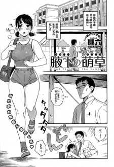 Imagen de Wakishita no Moekusa