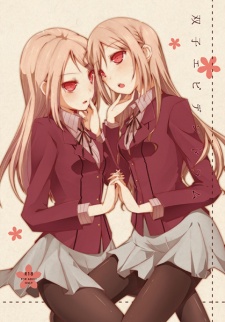 Imagen de Futago Epidendrum