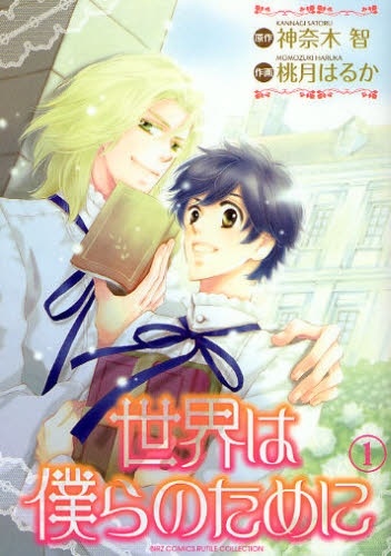 Sekai wa Bokura no Tame ni cover