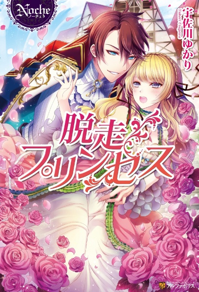 Poster de Dassou Princess
