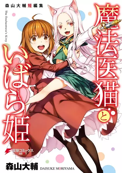 Cover of The Enchantress's Kitty