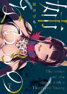 Poster de Ane Naru Mono