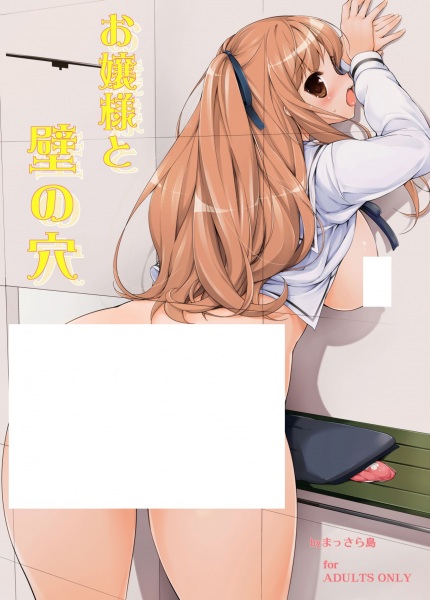 Ojousama to Kabe no Ana. cover
