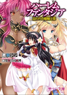 Imagen de Harem Fantasia: Toraware no Hime Kishidan