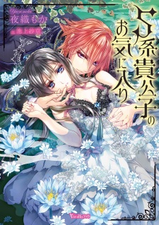 Imagen de S-kei Kikoushi no Okiniiri