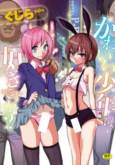 Kawaii Shounen wa Suki desu ka?