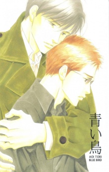 Capa de Seiyou Kottou Yougashiten dj