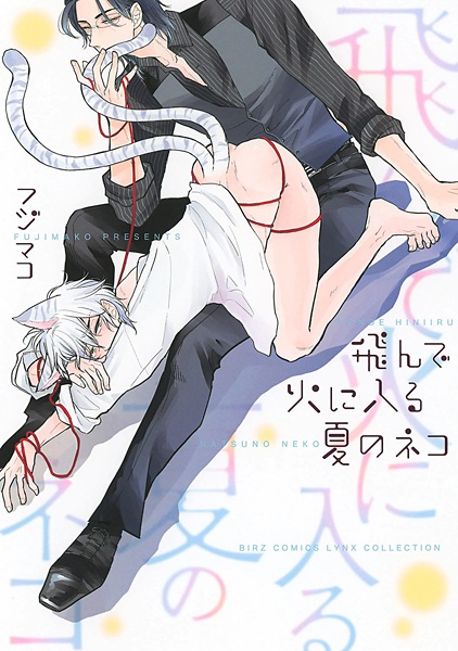 capa de mangá de Tonde Hi ni Iru Natsu no Neko