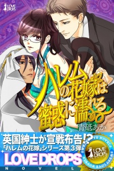 Imagen de Harem no Hanayome wa Mitsuwaku ni Nureru