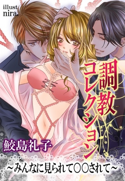 Poster de Choukyou Collection: Minna ni Mirarete ○○ Sarete