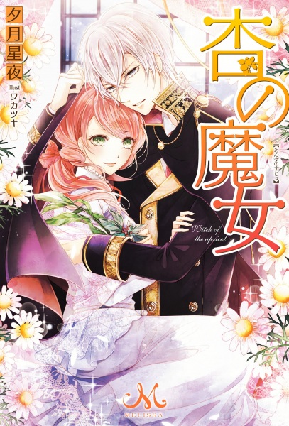 Poster de Anzu no Majo