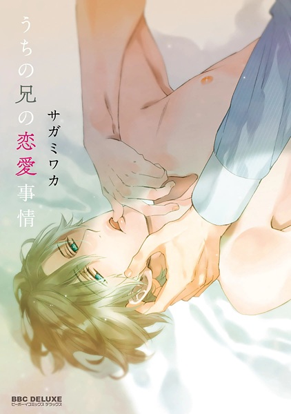 Cover for Uchi no Ani no Renai Jijou