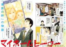 Imagen de My Home Hero