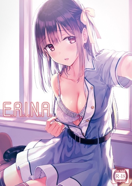 Poster de E.R.I.N.A.