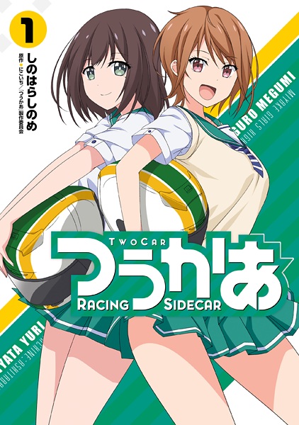 Two Car cover