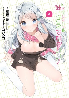 Imagen de Imouto sae Ireba Ii. Gaiden: Imouto ni sae Nareba Ii!