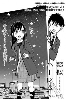 Imagen de Giji Harem