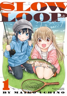 Capa de Slow Loop
