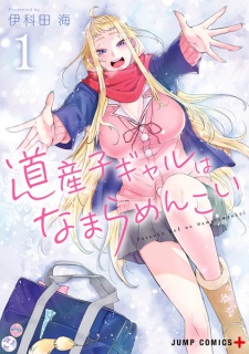 Capa de Dosanko Gal wa Namara Menkoi