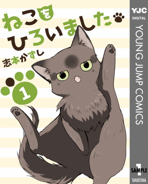 Neko wo Hiroimashita