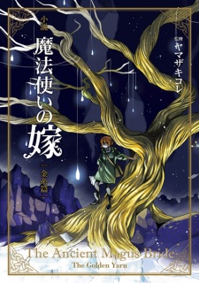 Shousetsu Mahoutsukai no Yome  Light Novel 