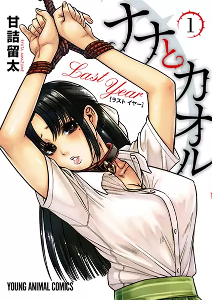 Nana To Kaoru: Last Year