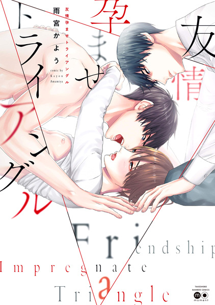 Poster de Friendship Pregnancy Triangle